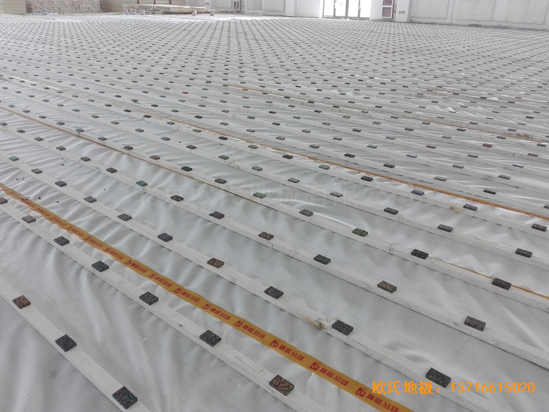 �y�������ЌW�@���^�w���ذ尲�b����1