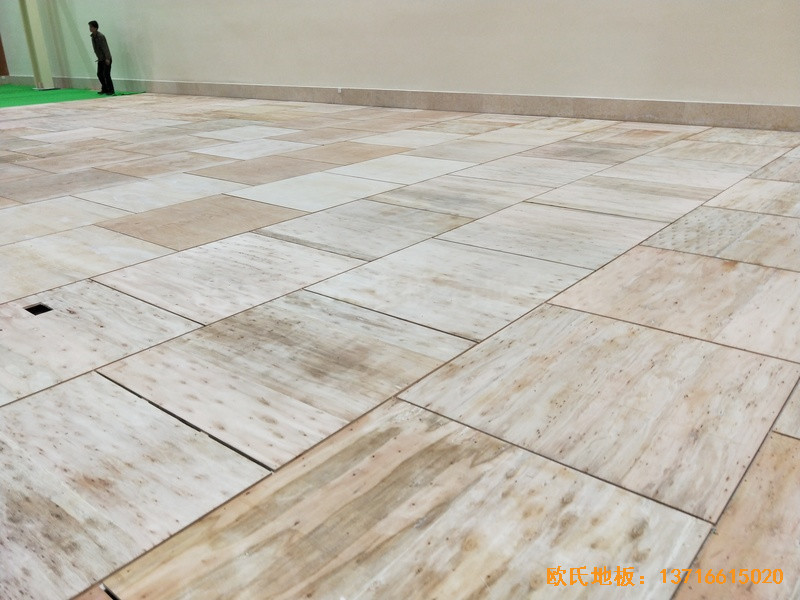 �Ĵ����^�(zh��n)13667���(du��)�\(y��n)��(d��ng)�^�w��ľ�ذ���b����2