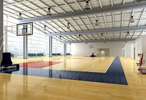 運動木地板 運動木地板