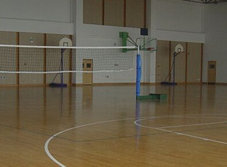 實木運動地板 實木運動地板