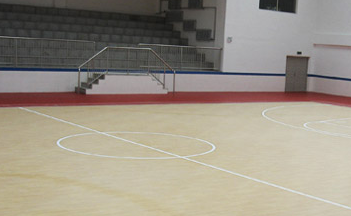 體育地板 體育地板