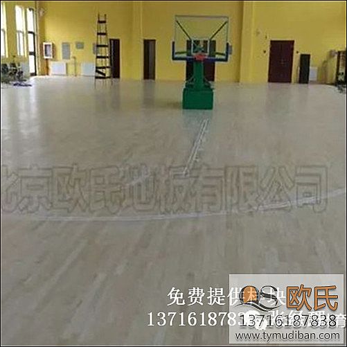 �@���\���w������ľ�ذ尸��-���ɹŞ����p��늏S�@���w���^