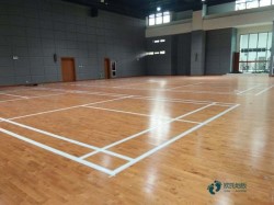 ��ľ���_�\���w���ذ�Ʒ���Ă���