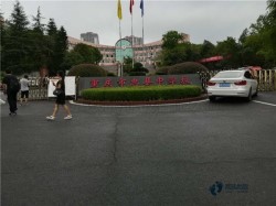 ���Ռ������_�\��ľ�ذ���Щ���Ӻ�