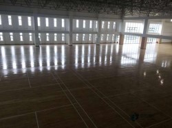 20���\(y��n)�ӈ���ľ�ذ��Ă�(g��)���ӵĺ�