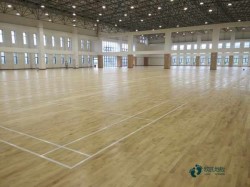 �����\(y��n)��(d��ng)ľ�ذ屣����