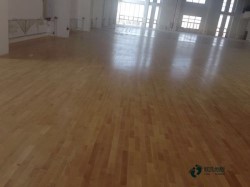 �@��ľ�ذ屣�B(y��ng)����