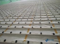 �N���\(y��n)��(d��ng)ľ�ذ屣�B(y��ng)����