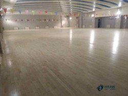 �@��ľ�ذ�r(ji��)���Ƕ���